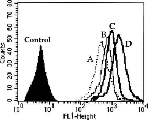 Fig. 1. One example of Pgp and MRP1 activity quantified by the effect of probenecid ± CsA (modulators of MRP1 and Pgp, respectively) on the level of calcein-AM uptake. Cell fluorescence (A) without modulator, (B) with probenecid, (C) with CsA, and (D) with both probenecid and CsA together. The results were calculated as the ratio of drug fluorescence with modulator divided by drug fluorescence without modulator after subtraction of the fluorescence of the control. For this example the ratios were 1.51 with probenecid (which quantified MRP1 activity); 1.7 with CsA (which quantified Pgp activity); and 2.66 with both probenecid and CsA (which quantified the combined activity of MRP1 and Pgp).