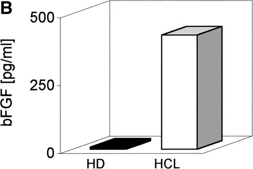 Fig. 4. (A) Expression of bFGF-specific mRNA. PBMC from HDs (n = 4) and patients suffering from HCL (n = 4) were subjected to RNA isolation immediately after separation by gradient centrifugation. After RT-PCR amplification using bFGF-specific primers and Southern blotting, positive reactions were visualized by hybridization with a DIG-labeled bFGF cDNA probe followed by autoradiography. Negative control: no cDNA added; K562 mRNA served as positive control. In parallel experiments, β-actin expression was analyzed by RT-PCR to ensure that identical amounts of cDNA are used (not shown). (B) Synthesis of bFGF protein. PBMC derived from HCL patients (n = 3) and HD (n = 3) were analyzed for intracellular bFGF. A total of 2 × 106 cells were lysed and bFGF was determined by ELISA. Data are shown as mean values (HD, 7 pg/mL; HCL, 420 pg/mL). (C) Activation of bFGF-specific mRNA. PBMC from HDs (n = 2) and HCL patients (n = 2) were cultured for 48 hours in medium or stimulated with either PWM (10 μg/mL) or TPA (10 ng/mL) + Ca-Ip A23187 (10 ng/mL) (TPA+Ca-Ip). After RNA isolation, RT-PCR, Southern blotting, and hybridization with a DIG-labeled bFGF, cDNA-positive reactions were visualized by autoradiography (a). K562 mRNA served as positive control. (b) Shows results of β-actin–specific RT-PCR.