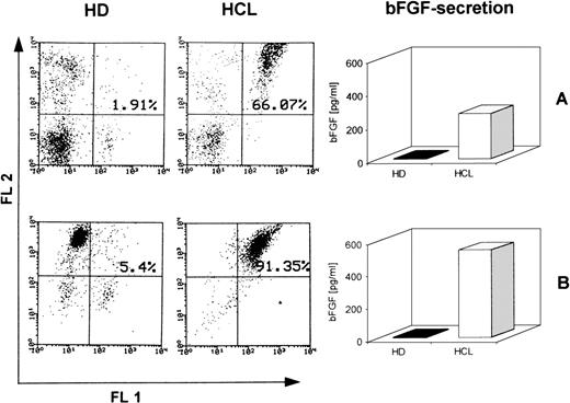 Fig. 7. Production of bFGF by CD19+/CD11c+ cells. PBMC from HD and HCL were enriched for CD19+/CD11c+cells by T-cell depletion using a rosetting technique. FACS staining showed <3% CD3- and CD5-positive cells, respectively. Cells were cultured for 48 hours and supernatants were screened by ELISA. (A) Represents FACS profiles and bFGF production of unseparated cells, and (B) shows results of T-cell–depleted populations. Fluorescence-1 (FL1) and fluorescence-2 (FL2) represent CD19+ and CD11c+ populations, respectively.