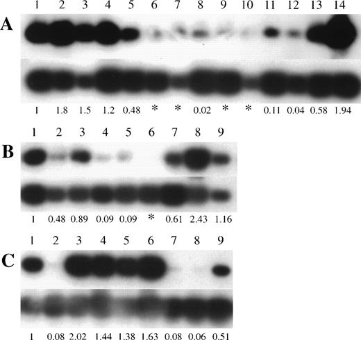 Fig. 2. p73 gene expression in pre B/B-ALL, T-ALL/LBL, and B-NHL clinical samples. Autoradiography of RT-PCR products (390 bp) of the p73 gene is shown in the top panels and GAPDH in the bottom panels. (A) Lane 1, HL60; lanes 2 through 5, peripheral blood mononuclear cells from 4 volunteers; lanes 6 through 14, pre B-ALL samples. (B) Lane 1, HL60; lanes 2 through 9, T-ALL/LBL samples. (C) Lane 1, HL60; lanes 2 through 9, B-NHL samples (lane 2, follicle center lymphoma, follicular, grade I; lane 3, diffuse large B-cell lymphoma; lane 4, lymphoplasmacytiod lymphoma; lane 5, small lymphocytic lymphoma; lane 6, small lymphocytic lymphoma; lane 7, mantle cell lymphoma; lane 8, follicle center lymphoma, follicular, grade II; lane 9, follicle center lymphoma, follicular, grade I). Numbers below the lanes represent the ratio ofp73 expression compared with expression in HL60 cells. The asterisk (*) indicates p73 expression was less than 1/100 of the level observed in HL60 cells.