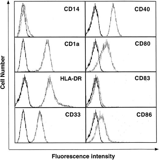 Fig. 1. Surface phenotype of normal human blood Mo-derived DCs. DCs were cultured in RPMI-1640 medium plus 7.5% FCS in the presence of GM-CSF (500 U/mL), IL-4 (100 U/mL), and TNF- (50 U/mL) for 5 days. After culture, the cells were washed and then stained with various antibodies as described in Materials and Methods. The data are shown as histograms depicting the number of cells exhibiting various fluorescence intensities. The dotted lines represent staining with specific antibodies and the solid lines represent the isotype-matched control. Results are representative of 3 independent experiments.