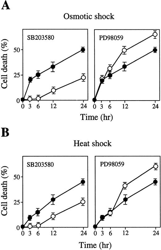 Fig. 5. Inhibition of p38 causes delay of stress-induced apoptotic cell death, but inhibition of MEK stimulates stress-induced apoptotic cell death. Cell death rate (%) after (A) osmotic or (B) heat shock with (○) or without (•) SB203580 (left panel) or PD98059 (right panel) for various periods as indicated. Values shown are the mean of five experiments.