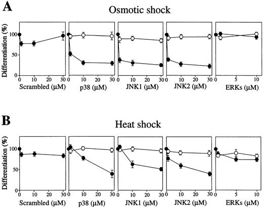 Fig. 6. Activation of p38 and JNK/SAPK, but not ERK, is required for stress-induced erythroid differentiation. SKT6 cells mixed with various concentrations (0 to 30 μmol/L) of antisense S-oligos (•) or sense S-oligos (○) of p38, JNK1, JNK2, ERKs (common to both ERK1 and ERK2), or scrambled S-oligos were (A) osmotic shocked or (B) heat shocked for 1 hour, and the percentage of hemoglobinized cells was counted after 4.5 days. The percentage of hemoglobinized cells after stress treatment without S-oligos is defined as 100%. Each point represents the mean of five replicates.