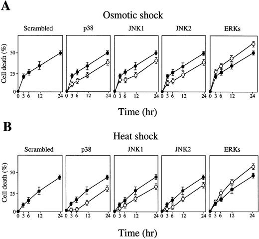 Fig. 7. Inhibition of p38 or JNK/SAPK causes delay of stress-induced apoptotic cell death, but inhibition of ERK stimulates stress-induced apoptotic cell death. SKT6 cells mixed with 10 μmol/L of antisense S-oligos (○) or sense S-oligos (•) of p38, JNK1, JNK2, ERKs (common to both ERK1 and ERK2), or scrambled S-oligos were (A) osmotic shocked or (B) heat shocked for 1 hour, and the cell death rate (%) was measured at the indicated time points. Each point represents the mean of five replicates.