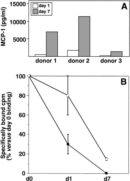 Fig. 5. Secretion of MCP-1 by monocytes/macrophages and its role in the downmodulation of MCP-1–specific binding sites. (A) Secretion of MCP-1 during monocytes differentiation. MCP-1 was measured by ELISA in the culture supernatants of freshly isolated monocytes (day 1) and 7-day–cultured macrophages. Results obtained with 3 different donors are shown. (B) Effect of antibody to MCP-1 on the specific binding of125I-MCP-1 to differentiating monocytes. Cells from 4 different donors were cultured in the presence (○) or in the absence (•) of polyclonal antibody to MCP-1 (5 μg/mL) for 1 or 7 days, extensively washed to remove the unbound antibody, and processed for binding studies as described in Fig 3. The mean percentage values (±SD) versus day 0 MCP-1 specific binding are shown. Statistical analysis showed that the differences in the binding of MCP-1 in monocytes cultured in the presence of antibody to MCP-1 were statistically significant (2-way analysis of variance P = .0194) with respect to untreated control cultures.