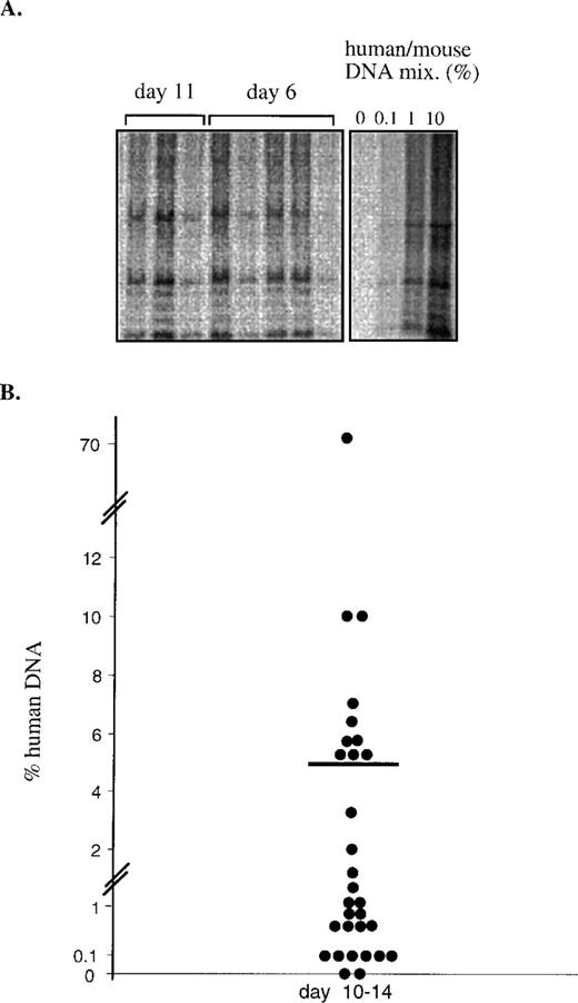 Fig. 3. Quantitative analysis of SRC after 10 to 14 days of ex vivo cultures. (A) CB CD34+ cells were transplanted into NOD/SCID mice (105 cells/mouse) from replicate wells. The cells in the wells were ex vivo-cultured for 6 or 11 days with SCF + FL + IL6RIL6 chimera. At each time point, the content of 1 well containing initial cells and their expanded progeny was transplanted into a mouse. DNA was extracted from the BM of transplanted mice 1 month after transplantation and hybridized with a human-specific probe. (B) A summary of the levels of human engraftment in mice transplanted with CD34+ cells that were ex vivo-cultured for 10 to 14 days before transplantation. Data shown are from 4 independent experiments.