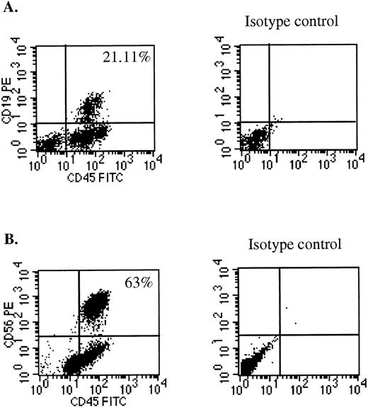 Fig. 4. Lymphoid differentiation of SRC ex vivo-cultured with IL6RIL6 chimera from the marrow of mice transplanted with CD34+ cells. Recovered BM cells from a highly engrafted NOD/SCID mouse transplanted with CD34+ cells that were cultured with SCF + FL + IL6RIL6 chimera for 10 days before transplantation. One month after transplantation, the murine BM was harvested. The cells were stained with lineage-specific markers and with isotype control for detection of nonspecific staining. (A) Murine BM cells were stained with antihuman CD45-FITC and antihuman CD19-PE for detection of pre-B cells. (B) BM cells from the transplanted mouse were further cultured with SCF + IL-15 for 10 days before staining with human CD45-FITC and antihuman CD56-PE for detection of NK cells.