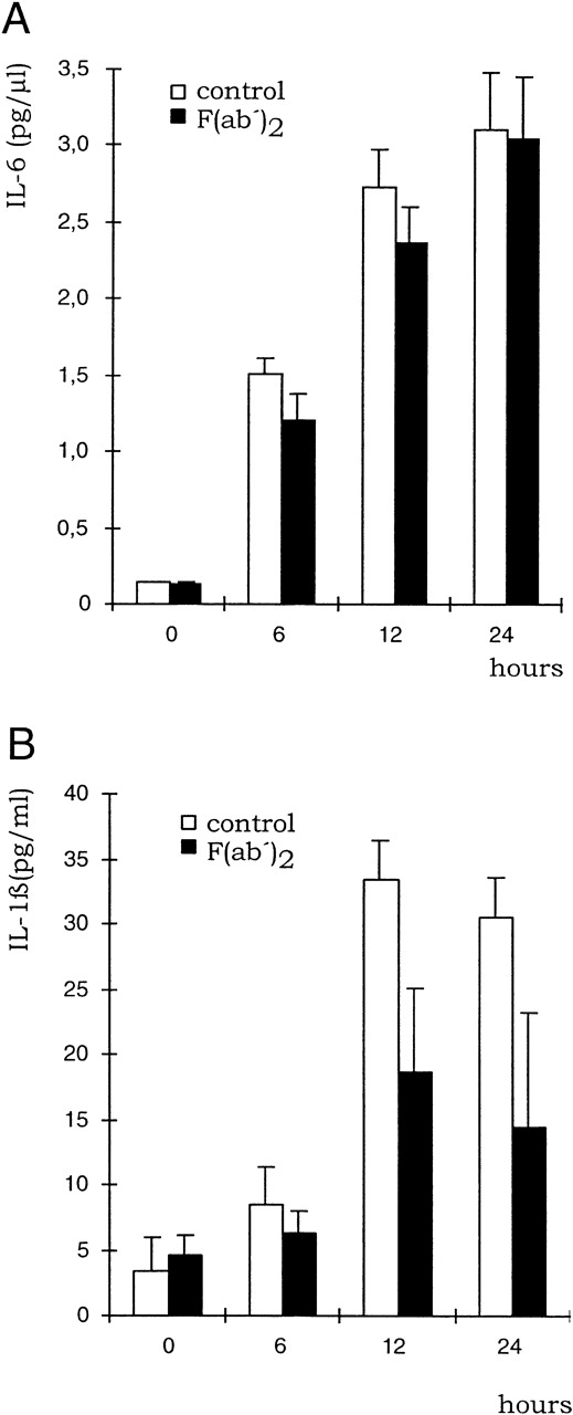 Fig. 8. Influence of KM81 MoAb on cytokine production by macrophages upon HA treatment. BMDM were treated with HA (100 μg/mL) for the times indicated either in the presence or absence of F(ab′)2 fragments of the pan CD44 antibody KM81 (20 μg/mL). The concentration of IL-6 (A) and IL-1β (B) was determined in the supernatant by ELISA. SE was calculated from results obtained from 3 independent wells each.