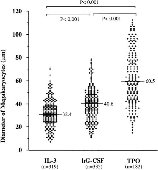 Fig. 3. Effects of mIL-3, hG-CSF, and hTPO on megakaryocyte size in Mk colonies. Three independent experiments were analyzed to generate this figure. The horizontal bars in each group represent the mean perpendicular diameters of megakaryocytes in Mk colonies. The numbers of measured megakaryocytes are presented in parentheses. The megakaryocytes from Mk colonies supported by hG-CSF were significantly larger than those in case of mIL-3, but smaller than those in case of hTPO (P < .001, for both).