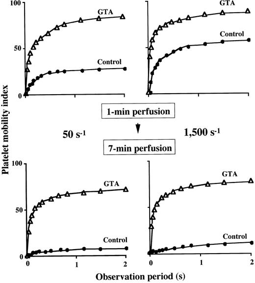 Fig. 4. Extent of platelet immobilization to a collagen-coated surface in GTA. The platelet mobility index (Materials and Methods) during 2-second observation period was calculated at 1 minute (upper panels) and 7 minutes (lower panels) of perfusion of blood from a patient (numbered as “−1”) with GTA (▵) under a shear rate of 50 s−1 (left panels) and 1,500 s−1 (right panels). At either shear rate, the relatively high platelet mobility index of a normal control (•) at 1 minute of perfusion decreased significantly at 7 minutes of perfusion, indicating that firm platelet adhesion progressed as a function of time. Note that the platelet mobility index for GTA, which was higher than that of normal at 1 minute of perfusion, decreased only slightly at 7 minutes of perfusion, indicating only limited firm adhesion of platelets in GTA during perfusion.