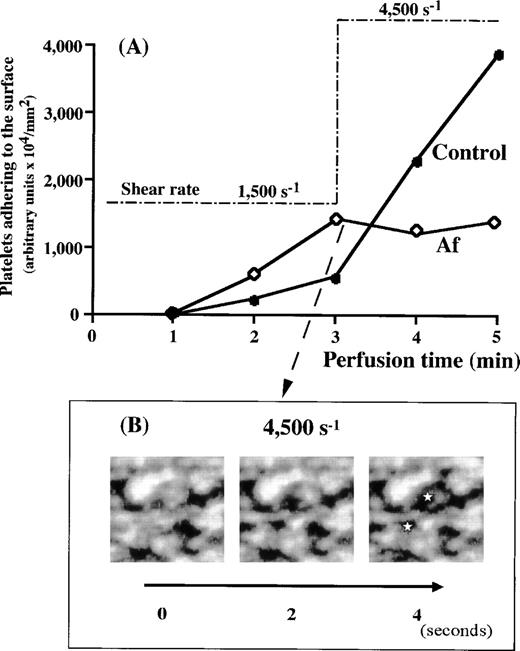 Fig. 6. Evaluation of thrombi formed in Af blood at 1,500 s−1 against a very high shear rate. (A) Control (•) or Af (patient No. 1) (◊) blood was perfused over a collagen-coated surface under 1,500 s−1 for 3 minutes. Based on the amount of platelets adhering to the surface, thrombi of Af formed more rapidly than those of the control. When the shear rate applied was increased stepwise to 4,500 s−1 at 3 minutes after the beginning of perfusion, the time-dependent thrombus growth in Af blood was arrested, while thrombus growth in control blood was accelerated. (B) Consecutive images of thrombi in Af blood collapsing under a shear rate of 4,500 s−1. The images at 2-second intervals were captured immediately after the shear rate transition to 4,500 s−1. Note that thrombi in Af blood collapse as a function of time, especially around the areas indicated (⋆).