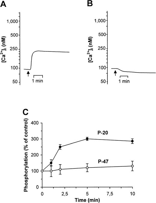 Fig. 4. Effects of CyPB on Ca2+ flux and phosphorylation of myosin light chains (P-20) and pleckstrin (P-47) in platelets. Ca2+ mobilization, measured in Fluo-3–loaded platelets, was analyzed after the addition of CyPB (100 nmol/L normal (A) or Ca2+-depleted buffer (B). Changes in fluorescence, reflecting changes in cytosolic Ca2+ concentration, were monitored by flow cytofluorimetry. Tracings are representative of 3 distinct experiments conducted with platelets from separate individuals. The arrows indicate addition of the ligand. Platelet response to CyPB (100 nmol/L) was also analyzed in terms of variations of P-20 and P-47 protein phosphorylation (C). Reactions were stopped at the indicated times and the variations in the intensity of serine phosphorylation of P-20 (•) and P-47 (○) were analyzed. Zero time results were obtained without addition of the ligand. Data are calculated as the percentage of intensity at indicated times relative to that at time zero, and expressed as mean values ± SEM from 3 separate experiments conducted with platelets from different donors.