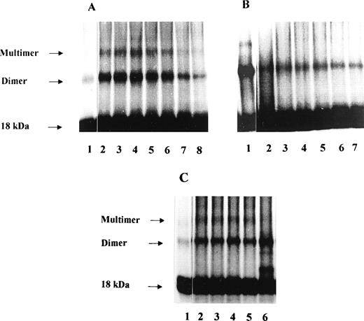 Fig. 8. Effect of PF-4–derived peptides on FGF-2 dimerization. 10 ng 125I-FGF-2, 500 ng unlabeled FGF-2 are incubated in the presence or absence of 50 ng heparin with fixed (10 μmol/L) or increasing concentrations of the different PF-4–derived peptides. Dimerization experiments were performed as indicated in Materials and Methods. (A) Increasing concentrations of peptide 47-70 in the absence of heparin (lane 1: control, lane 2: 2.6 μmol/L, lane 3: 5.4 μmol/L, lane 4: 10.8 μmol/L, lane 5: 21.4 μmol/L, lane 6: 42.7 μmol/L, lane 7: 87 μmol/L, lane 8: 134.5 μmol/L); (B) increasing concentrations of peptide 47-70 in the presence of heparin (lane 1: control with heparin, lane 2: 5.4 μmol/L, lane 3: 10.8 μmol/L, lane 4: 21.4 μmol/L, lane 5: 42.7 μmol/L, lane 6: 87 μmol/L, lane 7: 134.5 μmol/L) ; C, fixed concentrations (10 μmol/L) of various PF-4–derived peptides (lane 1: control without heparin, lane 2: control with heparin, lane 3: peptide 34-58, lane 4: peptide 47-58, lane 5: peptide 58-70, lane 6: peptide 17-58).