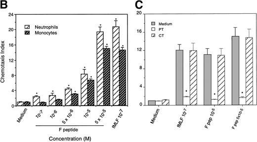 Fig. 3. Chemotactic activity of F peptide for monocytes and neutrophils. Different concentrations of F peptide were placed in the lower wells of the chemotaxis chamber. Monocytes or neutrophils were placed in the upper wells. After incubation at 37°C, the cells that migrated across the polycarbonate filter were counted and photographed. (A) Visualization (original magnification × 400) of neutrophil (upper panels) and monocyte (lower panels) migration in response to control medium (Medium), F peptide (F pep; 5 × 10−5 mol/L), and fMLF (fMLP; fMLP 10−7 mol/L). Solid arrows in the figure denote cells migrated across the filters. An open arrow in the upper-left panel indicates one of the micropores in the filter. (B) Fold increase (chemotaxis index) of phagocyte migration in response to F peptide over control medium. *P < .01 compared with spontaneous migration. (C) Inhibition of monocyte migration in response to F peptide by pertussis toxin. Cells preincubated with 100 ng/mL pertussis toxin (PT) at 37°C for 30 minutes were washed and examined for migration induced by different concentrations of F peptide. Cholera toxin (CT) at 100 ng/mL had no effect on monocyte migration induced by F peptide. *P < .01 compared with migration of cells incubated with medium alone.