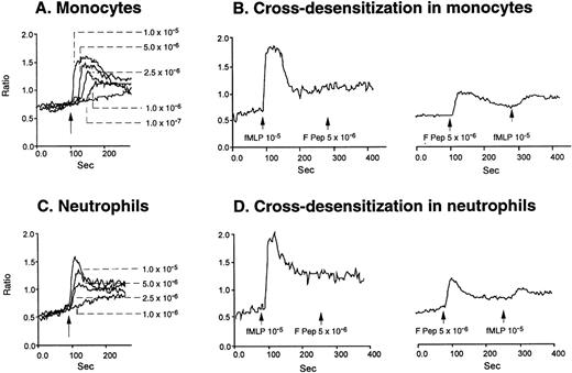 Fig. 4. Calcium mobilization induced by F peptide in phagocytes and attenuation by fMLF. Monocytes (A) or neutrophils (C) were loaded with Fura-2 and stimulated with different concentrations of F peptide. The ratio of fluorescence at 340 and 380 nm was recorded and calculated with the FLWinLab program. (B) and (D) show sequential stimulation of monocytes (B) or neutrophils (D) with fMLF and F peptide or vice versa.