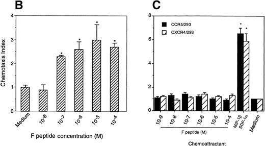 Fig. 5. Chemotactic activity of F peptide for FPRL1/293 cells. Different concentrations of F peptide were placed in the lower wells of the chemotaxis chamber. FPRL1/293 cells were placed in the upper wells. After incubation for 5 hours at 37°C, the cells that migrated across the polycarbonate filter were counted and photographed. (A) Visualization (original magnification × 200) of FPRL1/293 cell migration in response to control medium (Medium; left panel) or F peptide (F pep; 5 × 10−5 M; right panel). Solid arrows in the figure denote cells migrated across the filters. An open arrow in the left panel indicates one of the micropores in the filter. (B) Fold increase (chemotaxis index) of FRPL1/293 cell migration in response to F peptide over control medium. (C) Lack of chemotactic activity of F peptide for 293 cells transfected to express CCR5 or CXCR4. MIP-1β and SDF-1 at 10 ng/mL were used as positive controls. *P < .01 compared with spontaneous migration.