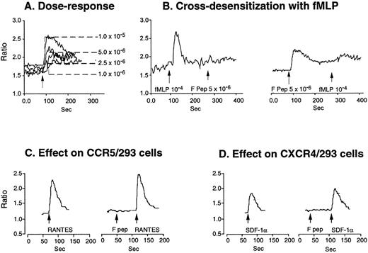 Fig. 6. Calcium mobilization induced by F peptide in FPRL1/293 cells and attenuation by fMLF. FPRL1/293 cells were loaded with Fura-2 and stimulated with different concentrations of F peptide (A), and the ratio of fluorescence at 340 and 380 nm was recorded and calculated. (B) shows sequential stimulation of FPRL1/293 cells with F peptide and fMLF or vice versa. F peptide (5 × 10−6mol/L) did not induce calcium flux in 293 cells transfected with CCR5 (C) or CXCR4 (D) and neither did F peptide (5 × 10−6mol/L) attenuate the calcium flux induced by RANTES (200 ng/mL) or SDF-1 (200 ng/mL) in these cells.