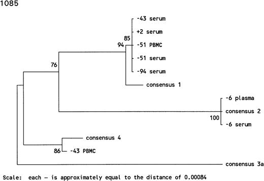 Fig. 3. Phylogenetic trees of the 5′ noncoding region of HCV showing the genotypes identified in 3 individuals with prolonged antibody-undetectable periods. Patient specimens, consensus sequences, time in months before (−) and after (+) HCV seroconversion, and the 6 major consensus sequences are indicated. The trees were bootstrapped 500 times and the numbers represent the percentages of the 500 bootstraps where those branches were the same. The horizontal distances are represented by the scale bar in the lower part of the figure and the distance is indicated.