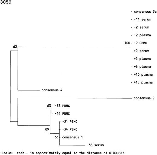 Fig. 3. Phylogenetic trees of the 5′ noncoding region of HCV showing the genotypes identified in 3 individuals with prolonged antibody-undetectable periods. Patient specimens, consensus sequences, time in months before (−) and after (+) HCV seroconversion, and the 6 major consensus sequences are indicated. The trees were bootstrapped 500 times and the numbers represent the percentages of the 500 bootstraps where those branches were the same. The horizontal distances are represented by the scale bar in the lower part of the figure and the distance is indicated.