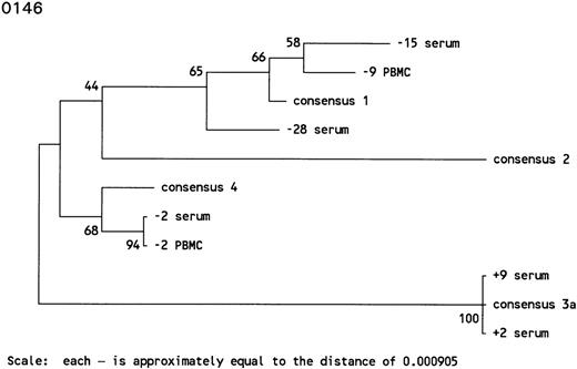 Fig. 3. Phylogenetic trees of the 5′ noncoding region of HCV showing the genotypes identified in 3 individuals with prolonged antibody-undetectable periods. Patient specimens, consensus sequences, time in months before (−) and after (+) HCV seroconversion, and the 6 major consensus sequences are indicated. The trees were bootstrapped 500 times and the numbers represent the percentages of the 500 bootstraps where those branches were the same. The horizontal distances are represented by the scale bar in the lower part of the figure and the distance is indicated.