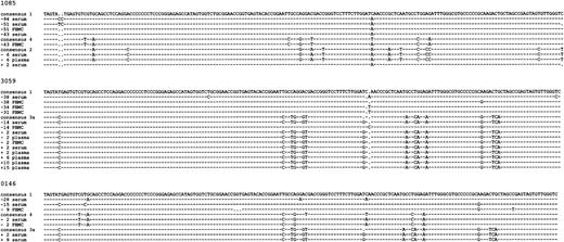 Fig. 4. Alignment of all sequences found among the 3 individuals with prolonged seronegative periods. Patient specimens, consensus sequences, and time in months before (−) and after (+) HCV seroconversion are indicated.