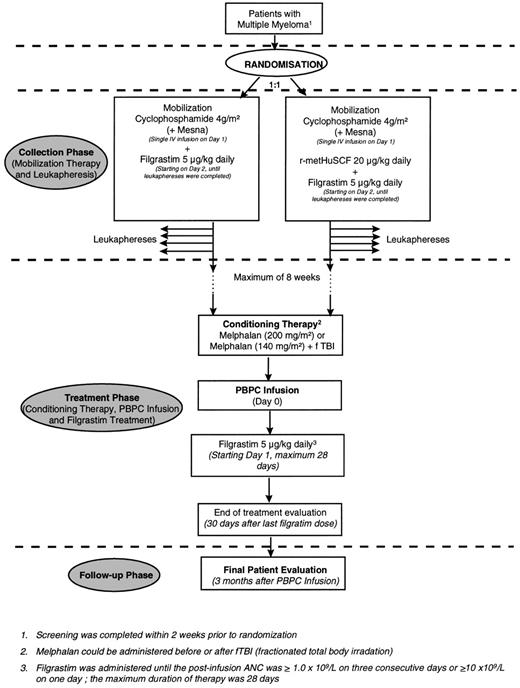 Fig. 1. Study design and treatment flow chart.