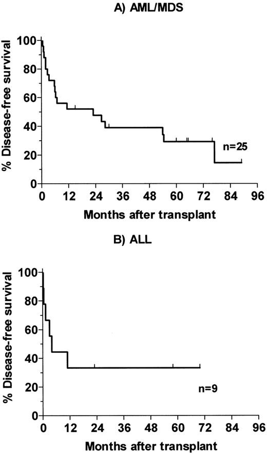 Fig. 3. Kaplan-Meier analysis of disease-free survival for patients receiving therapeutic dose of 131I-BC8 antibody followed by CY/TBI. (A) Patients with AML or MDS. (B) Patients with ALL.