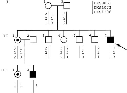 Fig. 5. Haplotype analysis of family members.