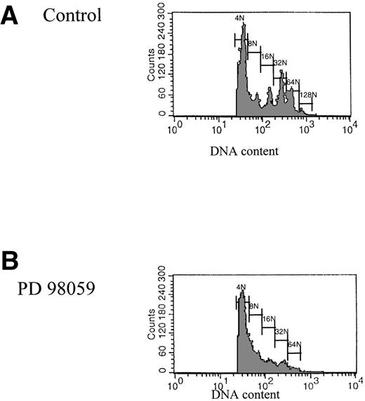 Fig. 8. The effect of MEK inhibition on megakaryocyte endomitosis in CD41-selected cell culture: Analysis of polyploid cells. Murine bone marrow cells were harvested and CD41+ cells were selected using a high gradient magnetic system (MiDiMACS). Purified cells were grown in serum-free media containing 35 ng/mL murine TPO for 84 hours. In 1 culture, PD 98059 at final concentration of 25 μmol/L was added initially and a similar dose was added 24 hours later (B). An equal volume of DMSO was added in the control culture. Cells were then stained with FITC-conjugated anti-CD41, solubilized, and stained with PI before being analyzed using flow cytometry. Only viable cells, defined by forward and side light scattering characteristics, were analyzed for fluorescent intensity. After culture, there was an 80% reduction in the total number of CD41+ cells in the presence of the inhibitor compared with control. However, equal number of cells were counted in each group. The histograms show the ploidy distribution of cells with DNA contents of 4N or higher. The consecutive peaks represent the frequencies of cells with DNA contents, as indicated by bars. These data are the representative results from 3 separate experiments.