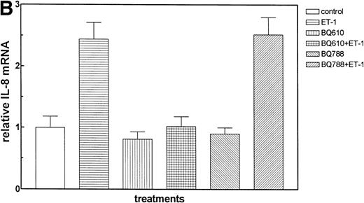Fig. 2. The effect of Et receptor antagonists. The CNS-EC were pretreated with 200 nmol/L ETA receptor antagonist, BQ610, or 200 nmol/L ETB receptor antagonist, BQ788, for 20 minutes, followed by 1 hour of incubation with 100 nmol/L Et-1. In all of the experiments presented, cells were treated with Et-1 for 1 hour. Subsequently, RNA was isolated from the cells, and the RPA was performed. The results are visualized by autoradiography; protected fragments corresponding to IL-8 (181 bp) and GAPDH (96 bp) are shown (A). The data in this and subsequent figures were calculated as the ratios of IL-8 mRNA to GAPDH mRNA and are presented relative to the control values (B). The data presented are representative of 1 of 3 replicate experiments performed. The error bars represent the SEM.
