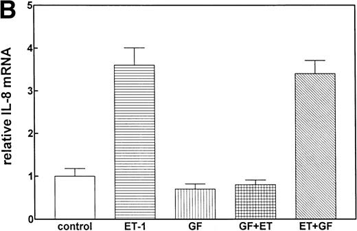 Fig. 5. The role of PK-C–dependent pathway. In 1 group (GF+Et), the cells were pretreated for 30 minutes with 1 μmol/L of the specific PK-C inhibitor GF, followed by 1 hour of incubation with 100 nmol/L Et-1. In another group (Et+GF), GF was added 30 minutes after the initial treatment with Et-1. Cells were treated with Et-1 for a total of 1 hour. The autoradiographic (A) and graphic data (B) are presented as described in Fig 2.