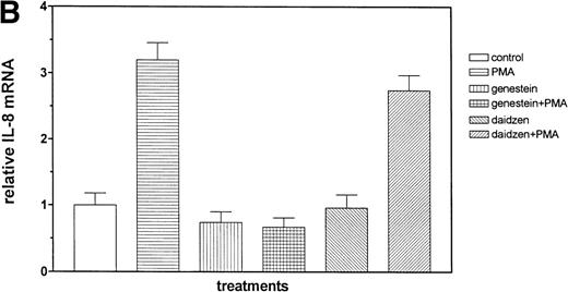 Fig. 7. Sequential activation of PK-C and PTK. The cells were treated for 1 hour with 1 nmol/L of the PK-C activator PMA or pretreated for 15 minutes with the specific PTK inhibitor genestein (37 μmol/L) or the inactive genestein analog daidzen (39 μmol/L), followed by the PMA treatment. The autoradiographic (A) and graphic data (B) are presented as previously described.