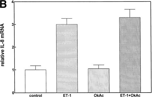 Fig. 8. The role of protein phosphatases. The CNS-EC were pretreated for 30 minutes with 10 nmol/L of the phosphatase inhibitor okadaic acid, followed by 1 hour of incubation with 100 nmol/L Et-1. The autoradiographic (A) and graphic data (B) are presented as previously described.