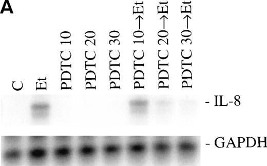 Fig. 9. Inhibitors of NF-κB block Et-1 activation. Cells were pretreated for 30 minutes with increasing concentrations of PDTC, followed by 1 hour of incubation with 100 nmol/L Et-1. The autoradiographic (A) and graphic data (B) are presented.