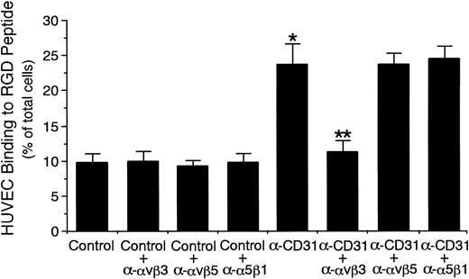 Fig. 5. CD31 stimulation of endothelial cells increases the adhesive function of vβ3 integrin to RGD peptide.51Cr-labeled HUVECs were preincubated with anti-CD31 MoAb or control mouse IgG (10 μg/mL each) for 10 minutes at 37°C and were then washed. 51Cr-labeled HUVECs (5 × 105) were then added to the RGD peptide-coated well of tissue culture plates and were incubated for 10 minutes at 37°C in the presence or absence of anti-vβ3 integrin MoAb, anti-vβ5 integrin MoAb, or anti-5β1 integrin MoAb (10 μg/mL each). After unbound cells were washed off, bound cells were lysed by the addition of HBSS containing 1% Triton X-100 and the radioactivity of the cells was counted in a gamma counter. Data are the means ± SD for 6 experiments. *Significantly different from the mean value of the control response (*P < .001). **Significantly different from the mean value of the control response of anti-CD31 MoAb-pretreated HUVECs (**P < .001).