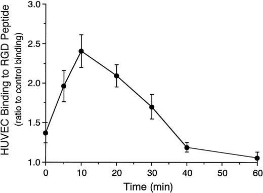Fig. 6. Time course of endothelial CD31-induced increase in the adhesive function of vβ3 integrin to RGD peptide.51Cr-labeled HUVECs were preincubated with anti-CD31 MoAb or control mouse IgG (10 μg/mL each) for 10 minutes at 37°C. After washing the cells, the binding assay of 51Cr-labeled HUVECs to RGD peptide was performed for 10 to 60 minutes at 37°C. HUVEC binding to RGD peptide is expressed as the ratio of the binding of anti-CD31 MoAb-pretreated HUVECs to that of control IgG-pretreated HUVECs. Data are the means ± SD for 3 experiments.