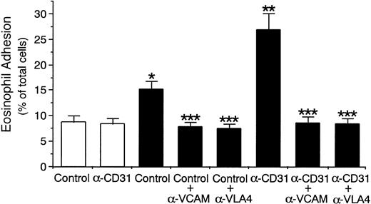 Fig. 11. CD31 stimulation of eosinophils increases eosinophil adhesion to IL-4–stimulated endothelial cells through VLA-4/VCAM-1 interaction. 51Cr-labeled eosinophils were preincubated with anti-CD31 MoAb or control mouse IgG (10 μg/mL each) for 10 minutes at 37°C. After washing the cells, the adhesion assay of51Cr-labeled eosinophils to IL-4–stimulated (▪) or unstimulated (□) HUVECs was performed in the presence or absence of anti–VCAM-1 MoAb or anti–VLA-4 MoAb (10 μg/mL each). Data are the means ± SD for 6 experiments. *Significantly different from the mean value of the control response to unstimulated HUVECs (*P < .001). **Significantly different from the mean value of the control response to IL-4–stimulated HUVECs (**P < .001). ***Significantly different from the mean value of the corresponding control response (***P < .001).
