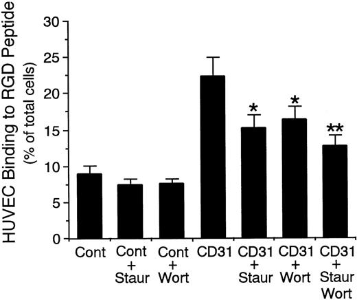 Fig. 12. Effect of staurosporine and wortmannin on endothelial CD31-induced increase in the adhesive function of vβ3 integrin to RGD peptide. 51Cr-labeled HUVECs were preincubated with staurosporine (Staur; 10−8 mol/L), wortmannin (Wort; 10−7 mol/L), or the combination of them for 10 minutes at 37°C and were then preincubated with anti-CD31 MoAb (CD31) or control mouse IgG (Cont) (10 μg/mL each) for 10 minutes at 37°C. After washing the cells, the binding assay of 51Cr-labeled HUVECs to RGD peptide was performed for 10 minutes at 37°C. Data are the means ± SD for 6 to 8 experiments. *Significantly different from the mean value of the control response of anti-CD31 MoAb-pretreated HUVECs (*P < .001). **Significantly different from the mean value of the responses of anti-CD31 MoAb-pretreated HUVECs in the presence of staurosporine or wortmannin alone, respectively (**P < .05).