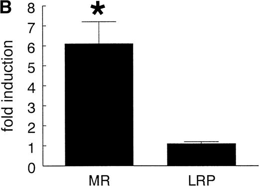 Fig. 4. Effect of EE treatment on hepatic LRP and mannose receptor mRNA expression in mice. (A) Total RNA was extracted from livers from vehicle- (lane 1) or EE-treated mice (lane 2) and analyzed by Northern blotting for LRP and mannose receptor (MR) mRNA levels. As a control for equal loading, the blots were probed with the cDNA for GAPDH mRNA. (B) The signals for LRP and MR mRNA were quantified by phosphoimager analysis and adjusted for the corresponding GAPDH mRNA signals. The results shown are the amounts of hepatic LRP and MR mRNA in EE-treated mice relative to those found in vehicle-treated mice. Data are expressed as the mean ± SD of 3 independent experiments consisting of at least 4 animals in each treatment group.