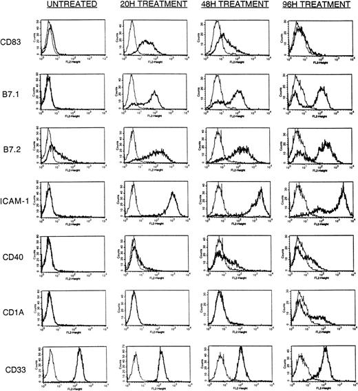 Fig. 1. Time-course analysis of A23187-inducible surface Ag expression. HL-60 cells (5 × 105) were cultured in a final volume of 2 mL with or without an optimal dose (180 ng/mL) of A23187 as described in Materials and Methods. Cells were harvested at 20, 48, and 96 hours post addition of A23187 and stained with PE-conjugated mouse-antihuman CD83, B7.1, B7.2, ICAM-1, CD40, CD1a, CD33, or IgG subclass-matched control Ab, and analyzed by FACS as described in Materials and Methods. Results displayed are at 20 hours without A23187 treatment (UNTREATED), 20 hours with A23187 treatment (20H TREATMENT), 48 hours with A23187 treatment (48H TREATMENT), and 96 hours with A23187 treatment (96H TREATMENT). Cultures not treated with A23187 showed an identical immunophenotypic profile at 20, 48, and 96 hours (not shown). Histograms display staining intensity of viable (PI-excluding) cells, comparing control Ab (light lines) to specific Ab (heavy lines).