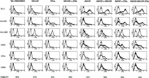 Fig. 3. Effects of rhIFN-γ and rhGM-CSF on A23187-induced HL-60 surface Ag expression. HL-60 cells (5 × 105) were cultured in a final volume of 2 mL with or without an optimal dose (180 ng/mL) of CI A23187, rhIFN-γ (1000 U/mL), or rhGM-CSF (20 ng/mL). Cells were harvested 72 hours later, stained with PE-conjugated mouse antihuman B7.2, HLA-DR, HLA-ABC, CD40, CD1a, CD83, or IgG subclass-matched control Ab, and analyzed by FACS as described in Materials and Methods. Cell viabilities (percent) at time of analysis (72 hours of treatment) are indicated below histograms for each treatment group. Histograms display staining intensity of viable (PI-excluding) cells, comparing control Ab (light lines) to specific Ab (heavy lines).