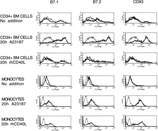 Fig. 6. Alterations in immunophenotype of cultured human CD34pos bone marrow cells and peripheral blood monocytes in the presence of CI A23187 or rhCD40L. Cultures of CD34posbone marrow cells previously expanded for 6 days in the presence of cytokines (see Fig 5) were replated and cultured for an additional 20 hours in the same medium without rh-c-kit ligand with various doses of CI A23187 or rhCD40L added. In synchronous experiments, elutriated monocytes were washed and plated overnight as described in Materials and Methods, then cultured for an additional 20 hours with no additive or CI A23187 or rhCD40L. After the 20-hour treatment bone marrow progenitors and monocytes were harvested and stained with PE-conjugated antibodies against human B7.1, B7.2, and CD83 and analyzed by FACS (see Materials and Methods). Representative displayed data depict untreated cells, cells treated with an optimal dose of CI (375 ng/mL for CD34pos cells and 225 ng/mL for monocytes), or cells treated with 10 μg/mL rhCD40L. Similar results were observed in either cultured CD34pos progenitors or peripheral blood monocytes treated with 2.5 or 40 μg/mL doses of rhCD40L (not shown).
