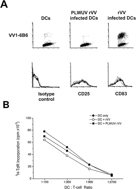 Fig. 4. FACS analysis of rVV-infected mature DCs. (A) The top row shows staining for VV1-6B6 early vaccinia protein in uninfected, PLWUV rVV-TK− and live rVV-TK−-infected DCs at an MOI of 2:1. The lower row shows comparable staining for CD25 and CD83, 2 markers for DC maturation, on uninfected DCs (···), PLWUV rVV-infected DCs (—-), and rVV-infected DCs (—). (B) rVV-infected DCs stimulate T-cell proliferative responses in the MLR. Bulk T cells were used as responders towards graded doses of allogeneic DCs that were uninfected or infected with rVV-TK− and PLWUV rVV-TK−. Cultures were pulsed on day 5 for 8 hours with 4 μCi/mL of 3H-TdR. Results are the means of triplicates (mean cpm).