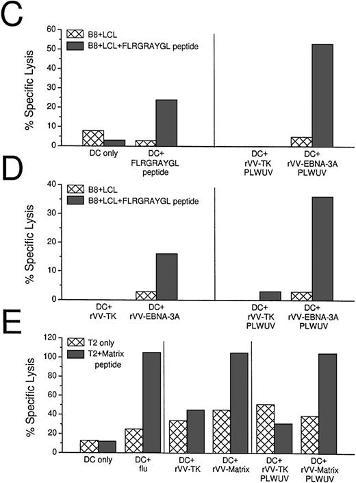 Fig. 5. CTL induction with peptide-pulsed and live rVV-infected DCs. (A) Comparison of EBNA-3A peptide-pulsed DCs with rVV-infected DCs. Live rVV-TK− was used as negative control. (B) Comparion of monocytes and DCs as APCs in eliciting EBNA-3A–specific CTL responses in a 7-day culture assay. The top panel shows that rVV-EBNA-3A–infected DCs (DC:T cell ratio 1:30) stimulate T cells that recognize FLRGRAYGL- and FLRGRAYGI-pulsed HLA B8+ B-LCLs. The lower panel from the same experiment shows that rVV-EBNA-3A–infected monocytes (ER−:T-cell ratio 1:2) are unable to stimulate T cells that recognize FLRGRAYGL- or FLRGRAYGI-pulsed HLA B8+ B-LCLs. (C) Comparison of EBNA-3A peptide-pulsed DCs with PLWUV, rVV-EBNA-3A–infected DCs; PLWUV rVV-TK− was used as a negative control. (D) Comparison of live versus PLWUV rVV-EBNA-3A–infected DCs. (E) Comparison of DCs infected with live influenza A or with live or PLWUV rVV-influenza-matrix in eliciting responses to the immunodominant matrix peptide for HLA-A2.1. In all of the experiments, the DC:T-cell ratio was 1:30, the effector T-cell:target cell ratio was 1:20, and no IL-2 was used.