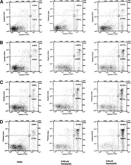 Fig. 2. Detection of apoptosis in CLL cells as detected by annexin-V/PI assay after exposure to media or depsipeptide (0.038 or 0.38 μmol/L) for a total of 4 hours, washing, and then incubation in media for 24 (A), 48 (B), 72 (C), and 96 hours (D). No apoptosis was noted with depsipeptide immediately after 4 hours of exposure (not shown). This demonstrates that, as the concentration of depsipeptide is increased, a time- and dose-dependent induction of apoptosis occurs. Phosphatidyl serine is restricted to the internal cell membrane but is externalized early during the process of apoptosis. Cellular uptake of PI indicates a disrupted cellular membrane generally observed during late apoptosis or with cell necrosis. Increased annexin binding to exposed phosphatidyl serine in quadrant 4 of (A), (B), (C), and (D) (percentages noted in far right corner) exposed to depsipeptide as compared with media supports that depsipeptide is inducing cytotoxicity at least in part through the pathway of apoptosis in human CLL cells.