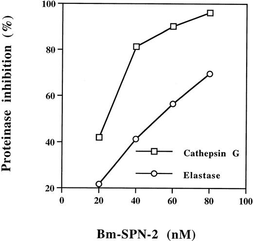 Fig. 7. Concentration-dependent inhibition of human neutrophil cathepsin G and human neutrophil elastase activation by Bm-SPN-2. Recombinant Bm-SPN-2 at different concentrations was mixed with human neutrophil cathepsin G or human neutrophil elastase before the addition of specific substrates. Changes in the rate of substrate cleavage were used to calculate the percentage of inhibition at each Bm-SPN-2 concentration.