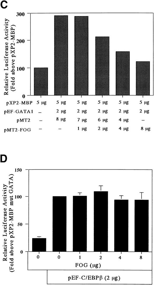 Fig. 8. FOG acts as a negative (inhibitory) cofactor for GATA-1 transactivation of the MBP promoter. (A) Northern blot analysis of mRNA for FOG in uninduced HT93A cells (lane 1) and HT93A cells induced with RA for 1, 3, 5, and 7 days (lanes 2 through 5, respectively). Control hybridization with β-actin cDNA is shown in the lower panel. (B) FOG inhibits transactivation of the MBP promoter by GATA-1. Jurkat cells were transiently transfected with 5 μg of pXP2-MBP, 2 μg of pEF-GATA-1, increasing amounts of pMT2-FOG as shown, and 1 μg of β-galactosidase expression vector (pCMV-βGal). Data are shown as the mean of 3 independent experiments (±SEM). (C) Jurkat cells were transfected by the electroporation method with 2 μg of the pXP2-MBP containing wild-type GATA- and C/EBP-binding sites along with the following expression vectors: 4 μg of pEF-BOS, 2 μg of pEF-GATA-1 plus 8 μg of pMT2, 2 μg of pEF-GATA-1 plus 7 μg of pMT2 plus 1 μg of pMT2-FOG, 2 μg of pEF-GATA-1 plus 6 μg of pMT2 plus 2 μg of pMT2-FOG, 2 μg of pEF-GATA-1 plus 4 μg of pMT2 plus 4 μg of pMT2-FOG, and 2 μg of pEF-GATA-1 plus 8 μg of pMT2-FOG. pBluescriptIIKS(−) plasmids were added to maintain total DNA constant at 22 μg. Luciferase activity was measured 24 hours after transfection and normalized for transfection efficiency based on the activity of cotransfected β-galactosidase expression vector (pCMV-βGal). (D) Jurkat cells were transfected with 5 μg of the pXP2-MBP containing a mutated GATA-binding site (pXP2-MBP mutGATA) along with the following expression vectors: 2 μg of pEF-BOS, 2 μg of pEF-C/EBPβ, 2 μg of pEF-C/EBPβ plus 7 μg of pMT2 plus 1 μg of pMT2-FOG, 2 μg of pEF-C/EBPβ plus 6 μg of pMT2 plus 2 μg of pMT2-FOG, 2 μg of pEF-C/EBPβ plus 4 μg of pMT2 plus 4 μg of pMT2-FOG, and 2 μg of pEF-C/EBPβ plus 8 μg of pMT2-FOG. pBluescriptIIKS(−) plasmids were added to maintain total DNA constant at 22 μg. Luciferase activity was measured 24 hours after transfection and normalized for transfection efficiency based on the activity of a cotransfected β-galactosidase expression vector (pCMV-βGal). Data are shown as the mean of 3 independent experiments (±SEM).