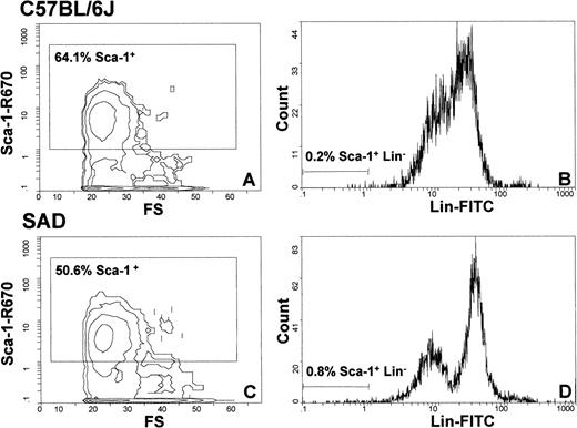 Fig. 2. Flow cytometry analysis of peripheral blood cells of C57BL/6 (A and B) and SAD (C and D) mice with Sca-1 and lineage-specific antibodies. The enclosed boxes depicted in (A) and (C) represent the total Sca-1+ cells from the entire cell population analyzed. (B) and (D) subdivide the Lin- and Lin+ cells from the total Sca-1+ cell population. The quantity of Sca-1+Lin−multipotent progenitor cells in SAD (0.8%) is increased by 4-fold compared with control mouse (0.2%).
