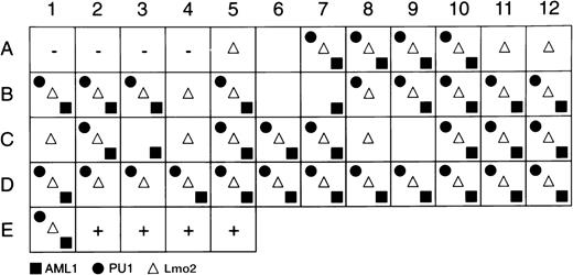 Fig. 3. Summary of Lmo2, AML-1, and PU.1 gene-expression programs of individual CD34+c-kit+ cells. The first 4 positions (A1-A4) contain no cells and serve as negative controls, and the last 4 positions (E2-E5) contain 10 cells each and serve as positive controls. The remaining positions represent the amplification reactions of single cells, with the presence of a symbol indicating positive amplification for the gene product indicated.