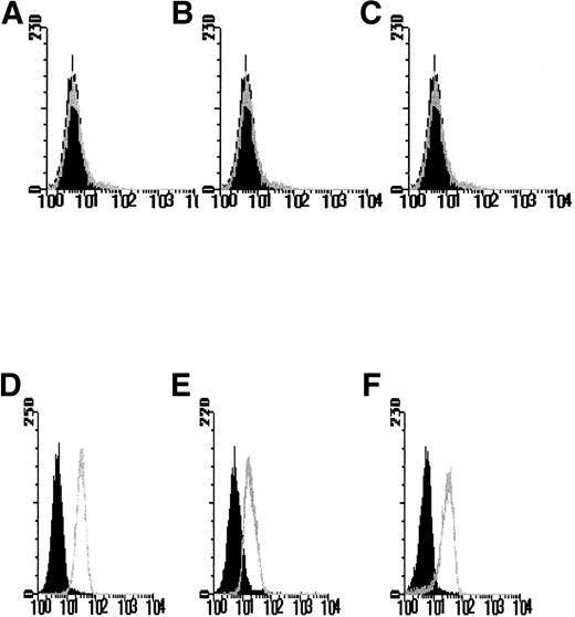 Fig. 1. FACS profiles of FDCP-mix cells transfected with hIL-3 and hGM-CSF receptor subunits. Cells were labeled with anti–hIL-3 and hGM-CSF receptor subunit antibodies in a 2-step procedure. The black histograms denote nonspecific fluorescence obtained with the secondary fluorescent reagent only and are overlaid with the histograms obtained after labeling with both the primary antireceptor subunit antibody and secondary reagent. Isotype control antibodies gave similar flow profiles to those obtained by using the secondary reagent only (data not shown). Results are shown for expression of the (A and D) hIL-3 R, (B and E) hGM R and (C and F) hβc receptor subunits by the (A-C) parental FDCP-mix cells and cells transfected with (D-F) hIL-3 R, hGM R, and hβc subunits and are representative of least 6 such experiments using different clones expressing hIL-3 R, hGM R, and hβc subunits, respectively. Similar profiles were obtained for cells coexpressing hβc subunits and either hIL-3 R or hGM R subunits.